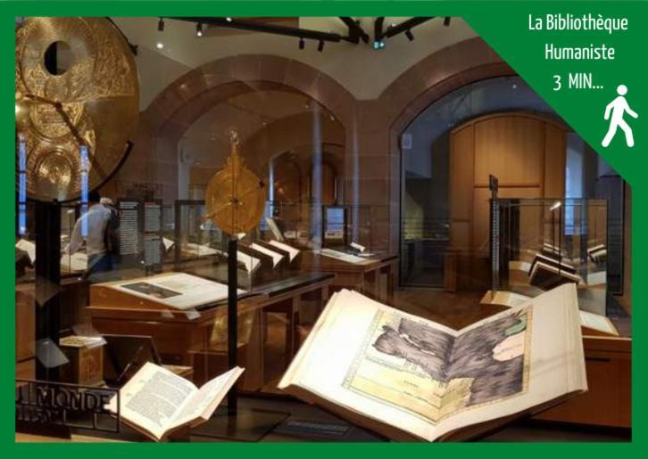 New L'Industr'Ill Au Coeur De L'Alsace Leilighet Sélestat Eksteriør bilde