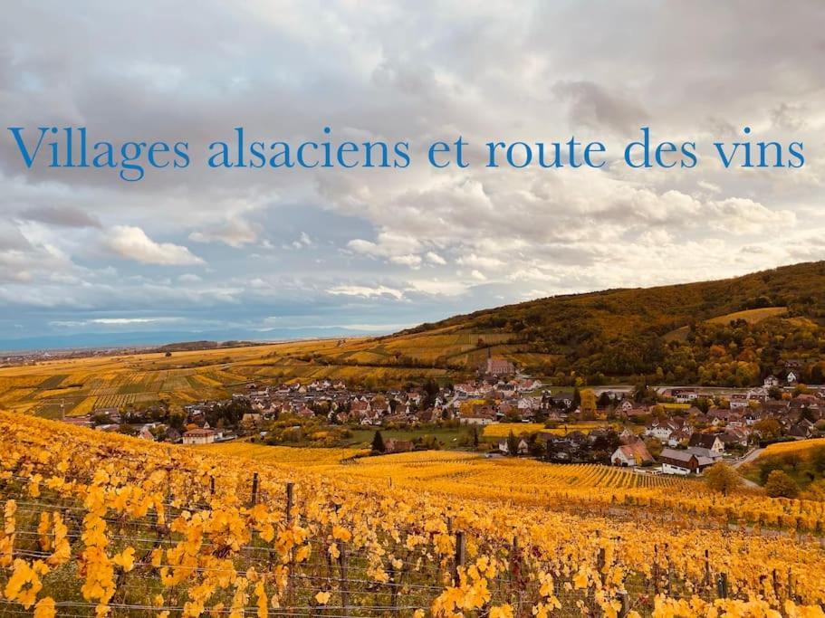 New L'Industr'Ill Au Coeur De L'Alsace Leilighet Sélestat Eksteriør bilde