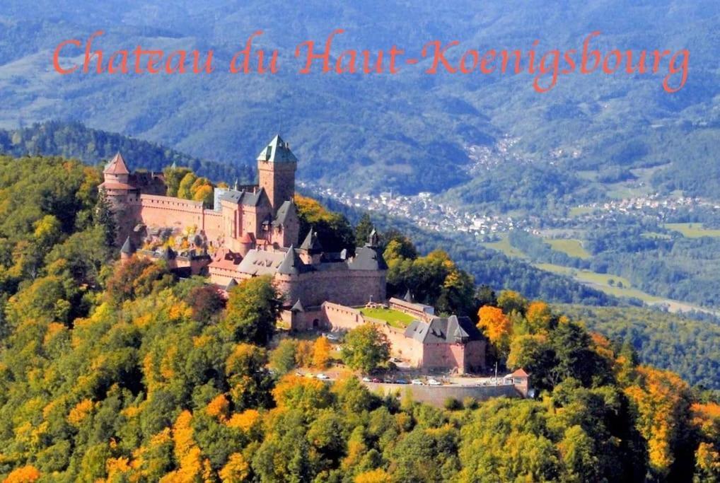 New L'Industr'Ill Au Coeur De L'Alsace Leilighet Sélestat Eksteriør bilde